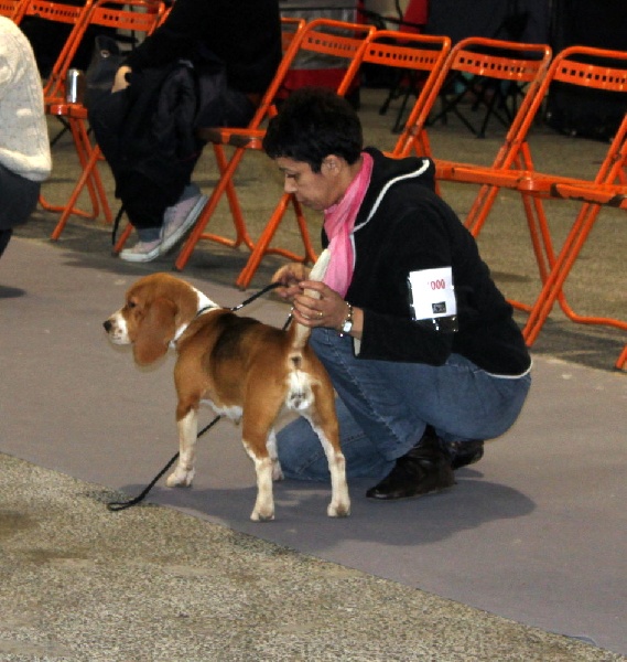 Eole du rallye des trois ponts - 2eme EXCELLENT RCACS