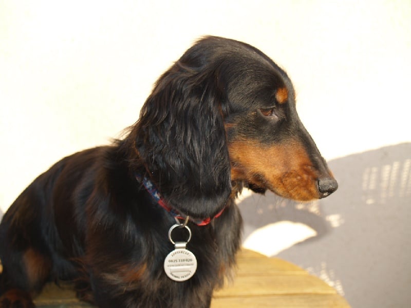 Publication : Du cap des embruns Auteur : dumont