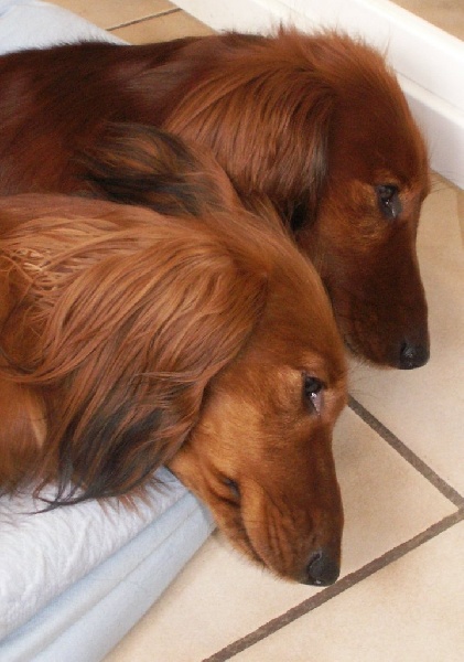 Publication : Du cap des embruns Auteur : dumont