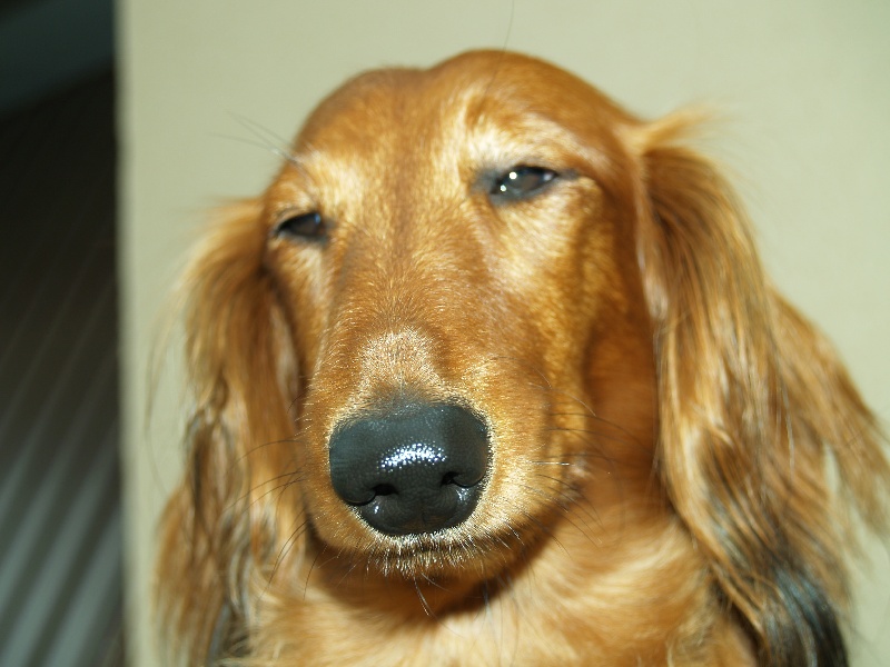 Publication : Du cap des embruns Auteur : dumont