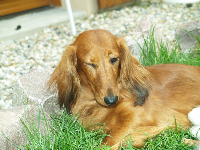 Publication : Du cap des embruns Auteur : dumont