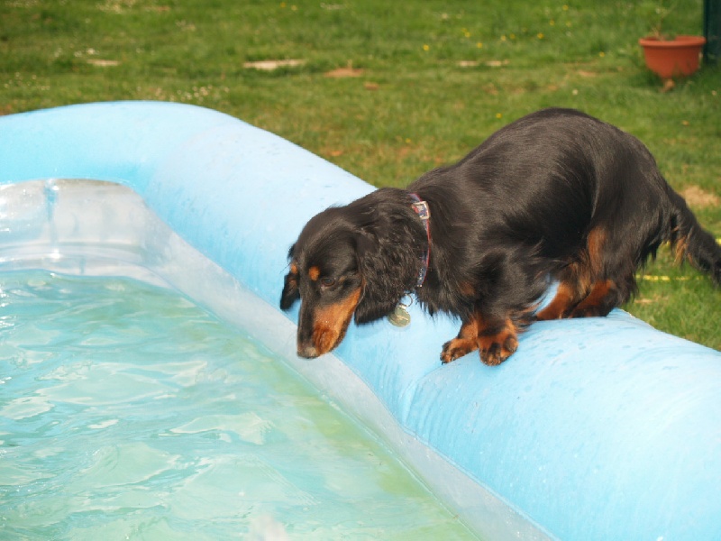 Publication : Du cap des embruns Auteur : dumont