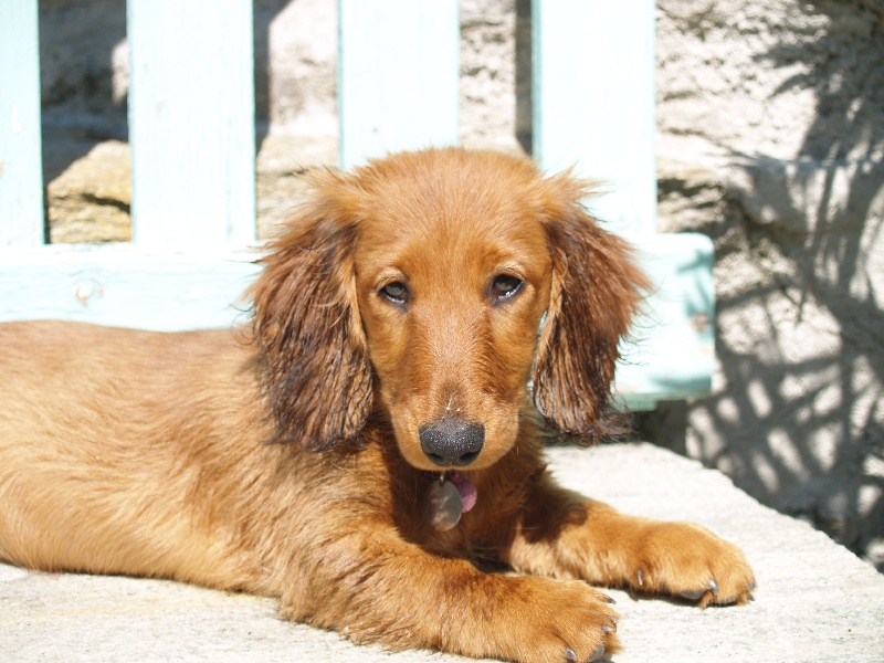 Publication : Du cap des embruns Auteur : sa mamie!