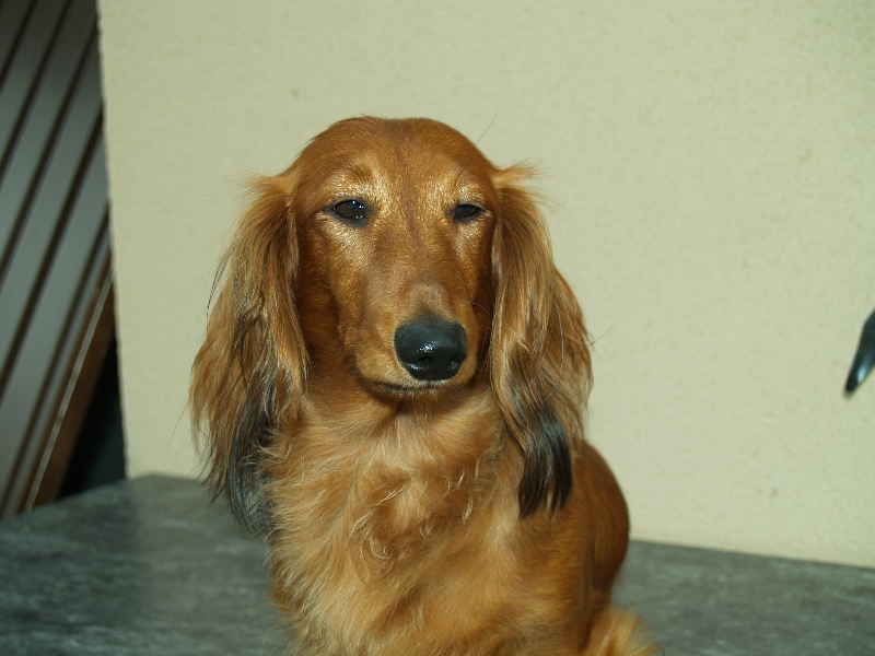 Publication : Du cap des embruns Auteur : dumont