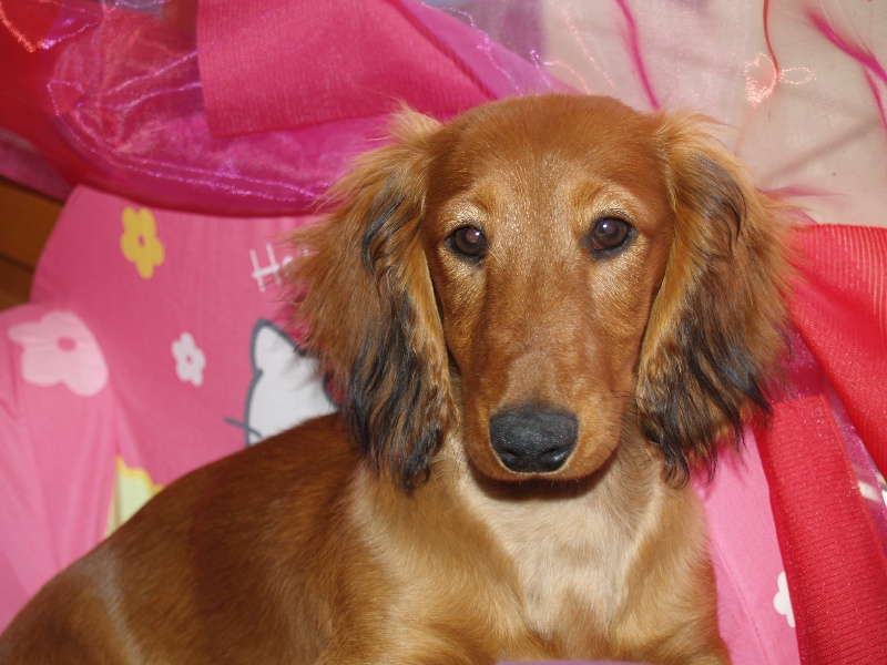 Publication : Du cap des embruns Auteur : sa mamie!