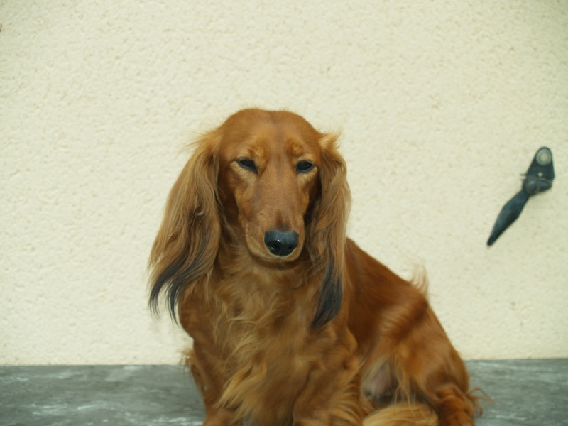 Publication : Du cap des embruns Auteur : dumont