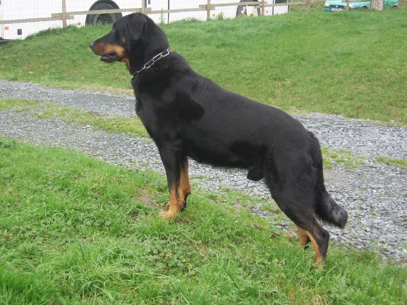 Publication : du Bois de Serval Auteur : aurélia vaillant