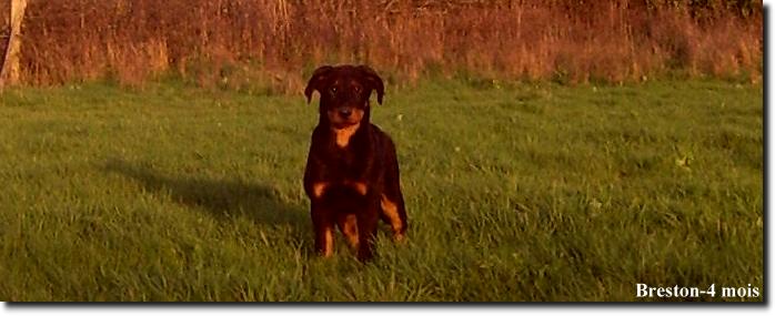 Publication : du Bois de Serval Auteur : aurélia vaillant