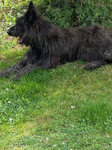 Publication : Du domaine de brédenarde