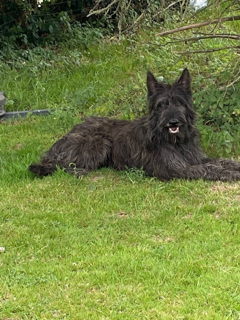 Publication : Du domaine de brédenarde