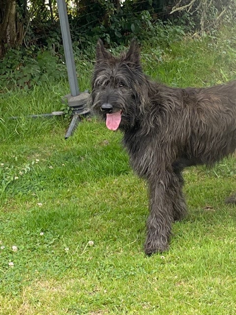 Publication : Du domaine de brédenarde