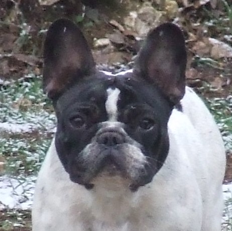 Publication : des petites truffes joyeuses Auteur : Des petites truffes joyeuses