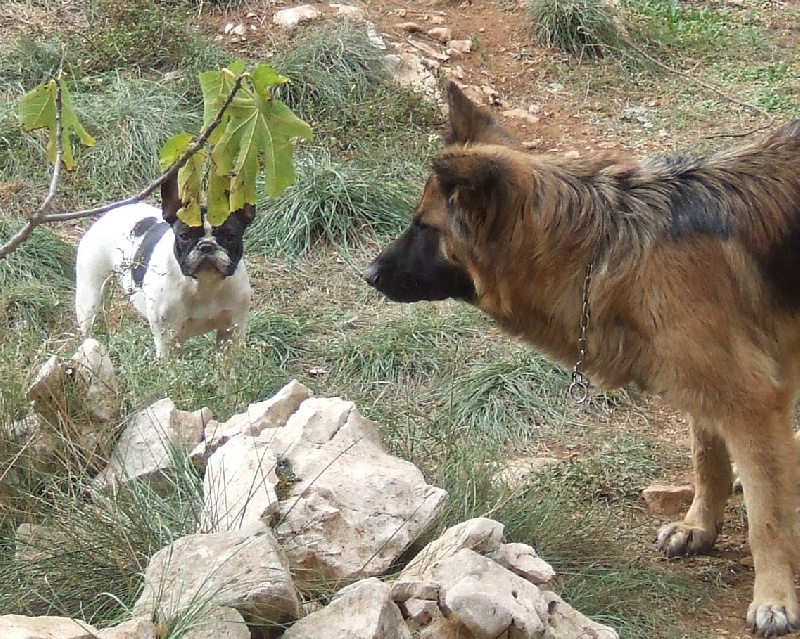Publication : des petites truffes joyeuses Auteur : Des petites truffes joyeuses