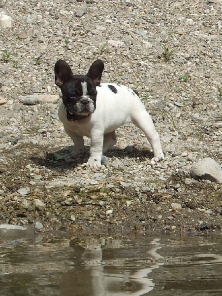 Publication : des petites truffes joyeuses Auteur : Des petites truffes joyeuses