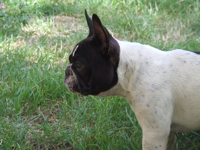 Publication : des petites truffes joyeuses Auteur : Des petites truffes joyeuses