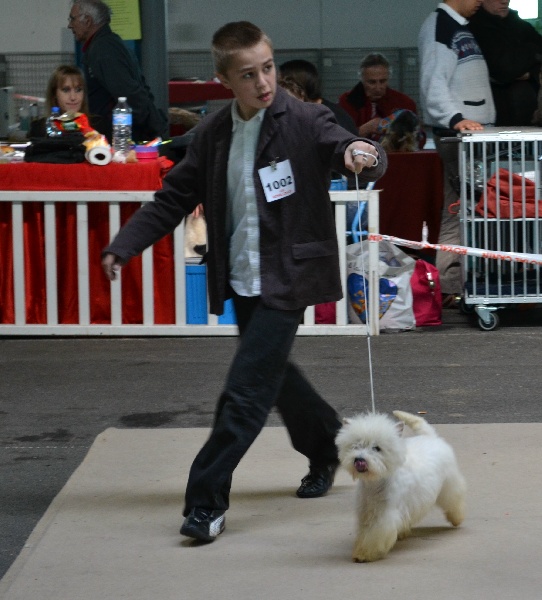 Publication : du clos des galinettes Auteur : belin magali