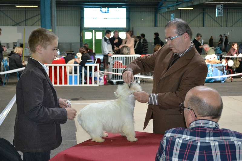 Publication : du clos des galinettes Auteur : belin magali