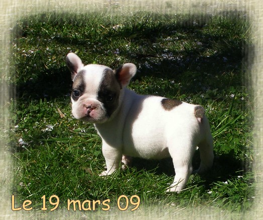 Publication : dho Valtess