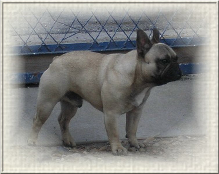 Publication : dho Valtess Auteur : Mme Valaize corinne