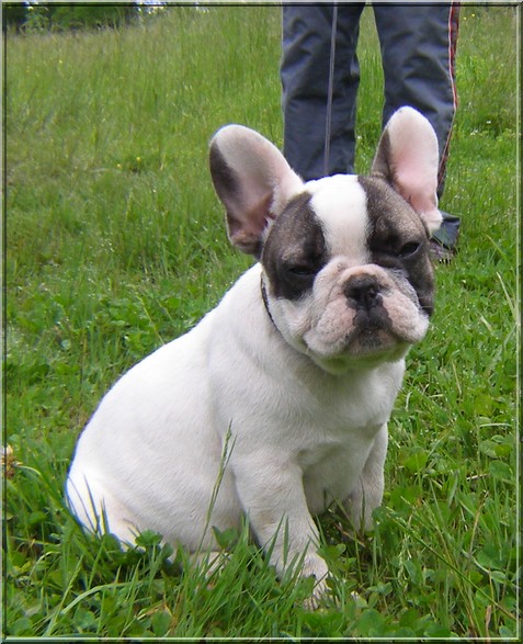 Publication : dho Valtess