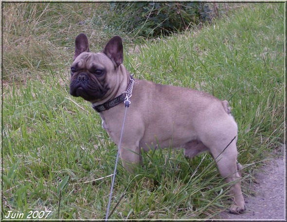 Publication : dho Valtess Auteur : Mme Valaize corinne