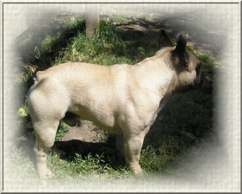 Publication : dho Valtess Auteur : Mme Valaize corinne