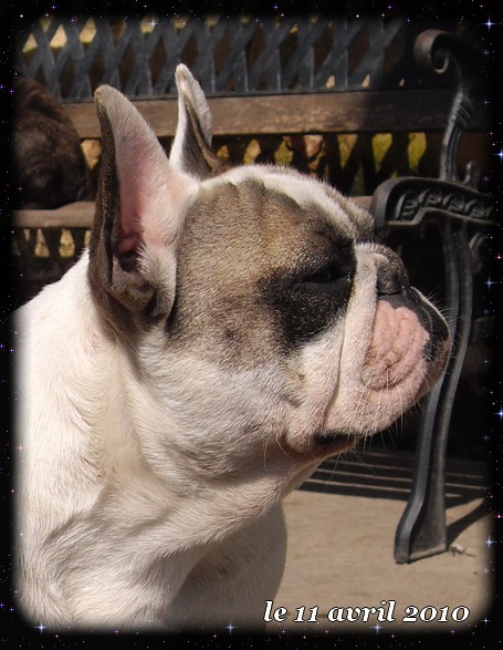 Publication : dho Valtess