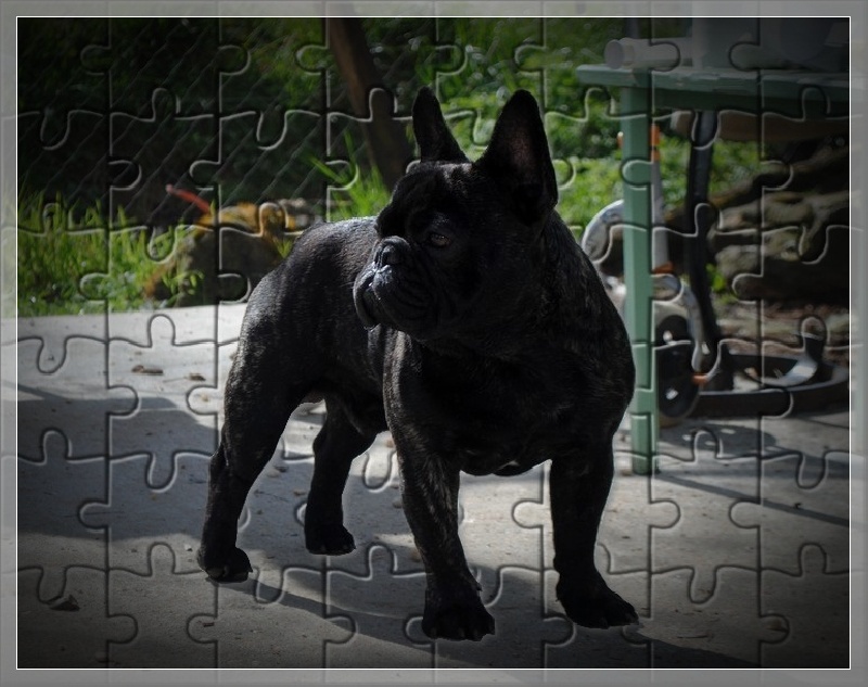 Publication : dho Valtess Auteur : Valaize Corinne