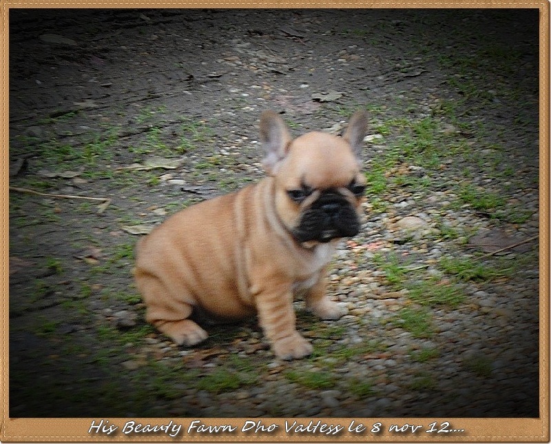 Publication : dho Valtess