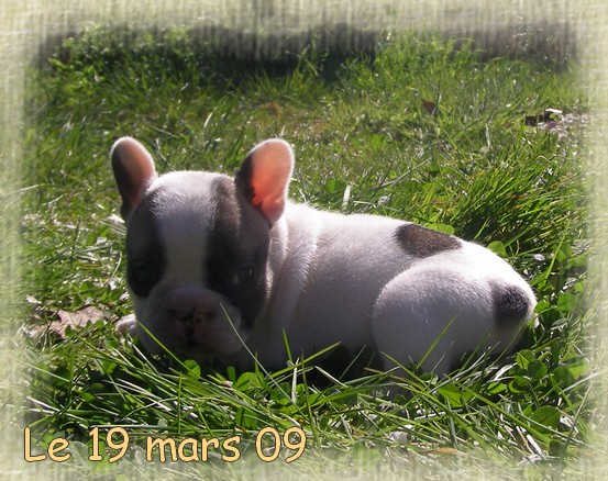 Publication : dho Valtess