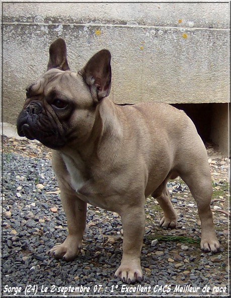 Publication : dho Valtess Auteur : Mme Valaize corinne