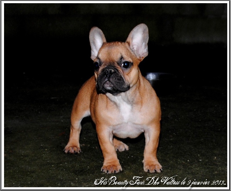 Publication : dho Valtess