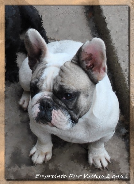 Publication : dho Valtess