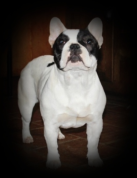 Publication : dho Valtess