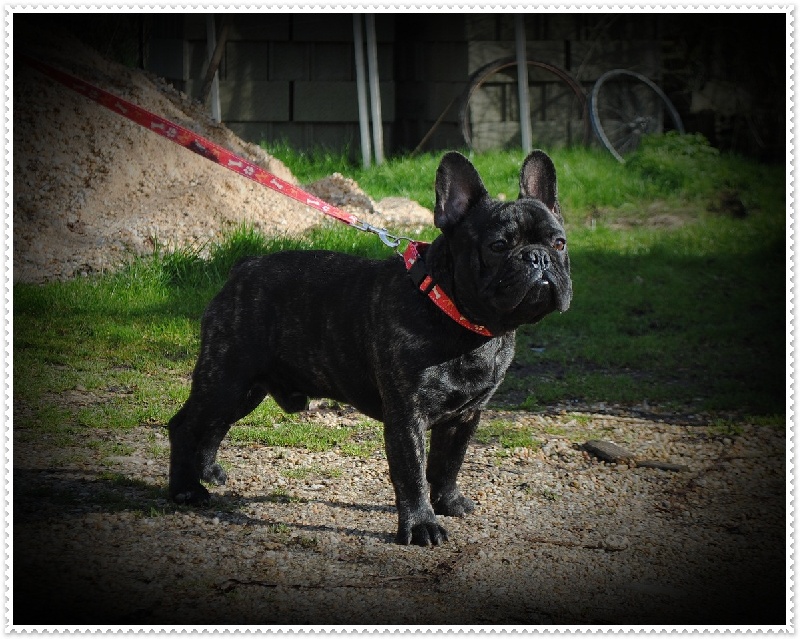 Publication : dho Valtess Auteur : Valaize Corinne