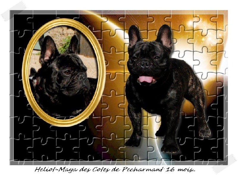 Publication : dho Valtess Auteur : Valaize Corinne