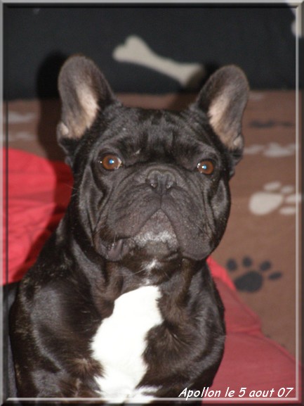 Publication : dho Valtess