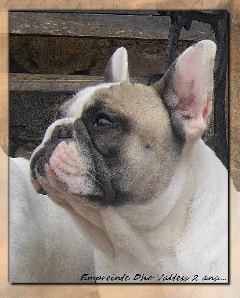 Publication : dho Valtess