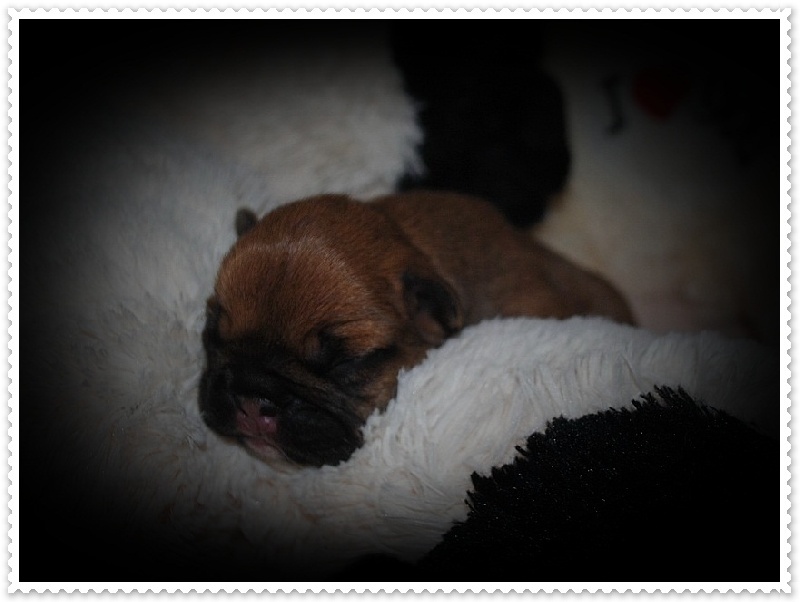 Publication : dho Valtess