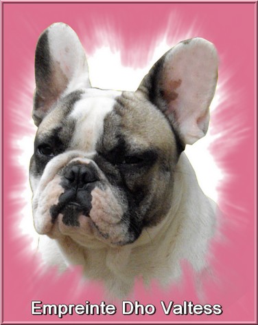 Publication : dho Valtess