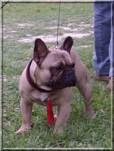 Publication : dho Valtess Auteur : Mme Valaize corinne