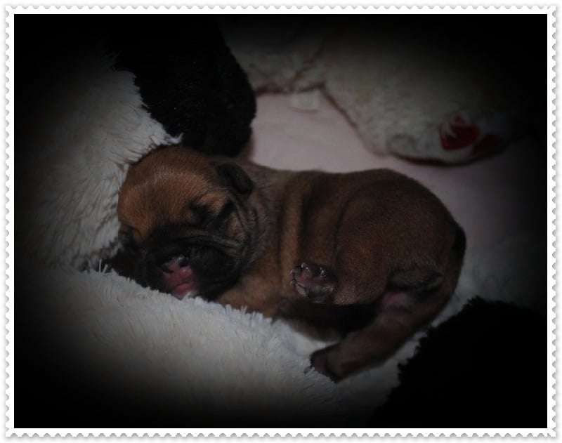 Publication : dho Valtess