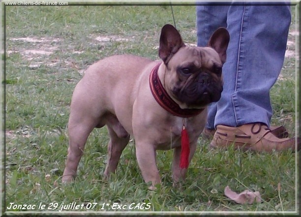 Valtess (Sans Affixe) - 1* exellent CACS classe ouverte