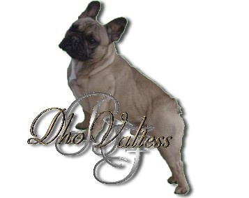 Valtess (Sans Affixe) - 2 excellent RCACS Classe ouverte