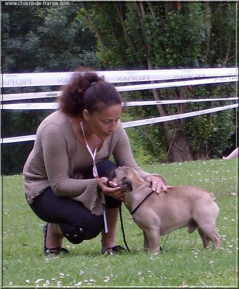 Valtess (Sans Affixe) - 1 Exellent CACS classe ouverte