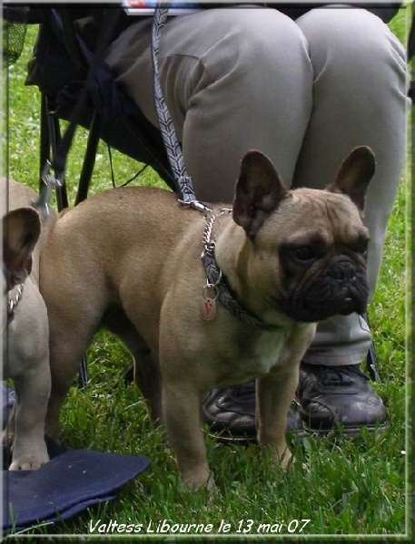 Valtess (Sans Affixe) - 3ème Excellent classe ouverte