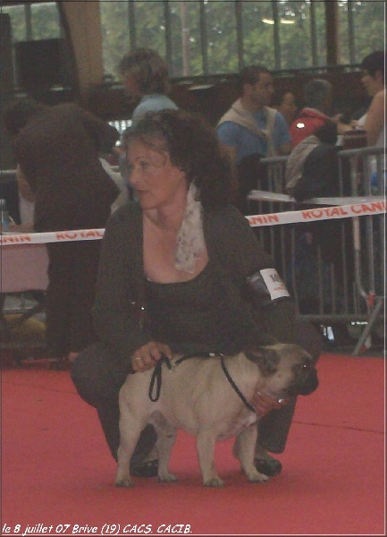 Valtess (Sans Affixe) - 1° excellent CACS. CACIB. classe ouverte