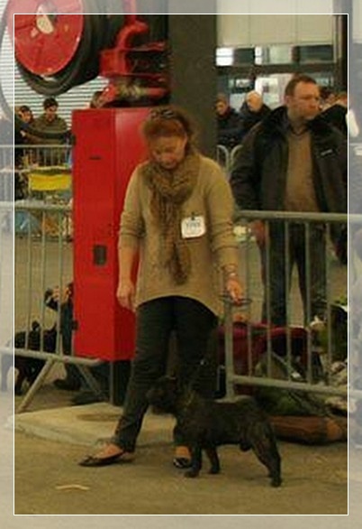 Heliote-maya des cotes de pecharmant - 1er Excellent CACS/CACIB classe intermédiaire