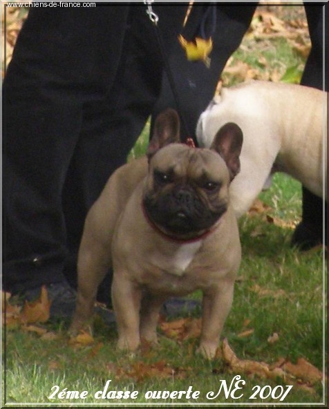 Valtess (Sans Affixe) - 2éme classe ouverte de la National d'élevage 2007 ! sur 27 participants