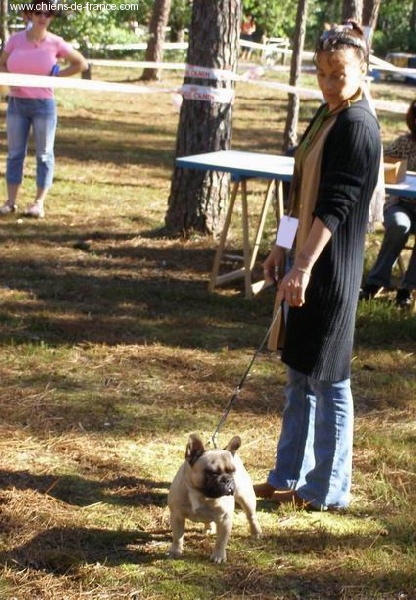 Valtess (Sans Affixe) - 1er Exellent classe intermediaire RCACS